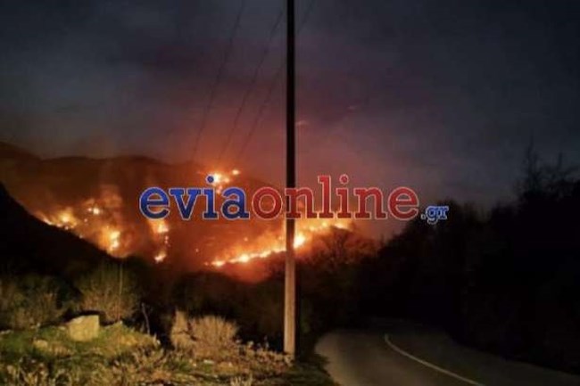 Φωτιά στην Εύβοια