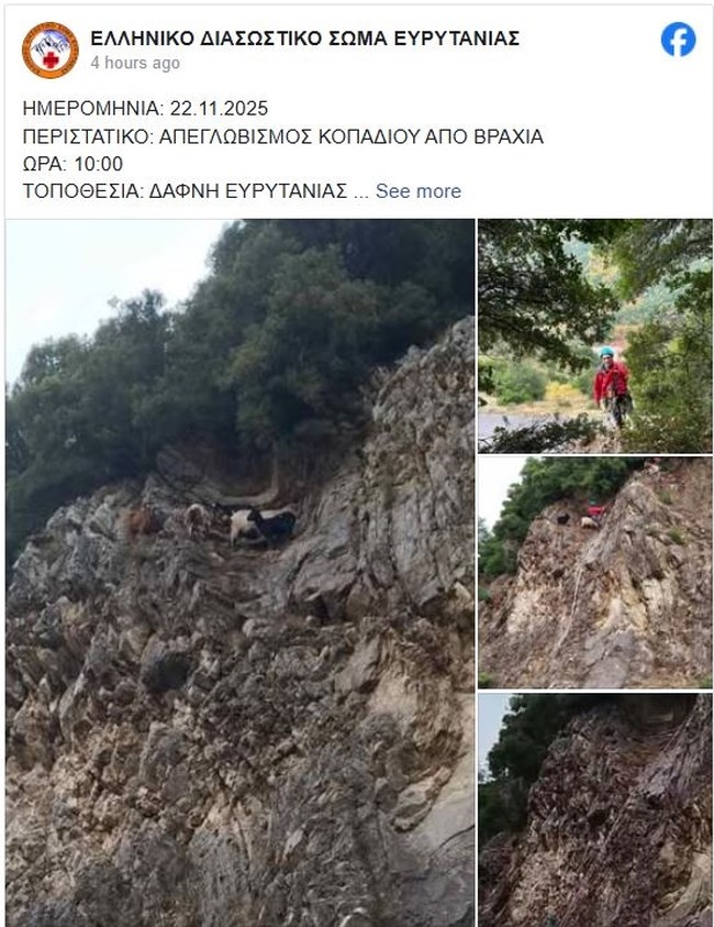 Μεγάλη επιχείρηση διάσωσης για κατσίκες που είχαν εγκλωβιστεί σε βράχια