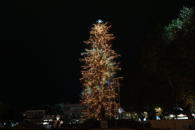 ΧΡΙΣΤΟΥΓΕΝΝΙΑΤΙΚΟ ΔΕΝΤΡΟ ΤΡΙΚΑΛΑ
