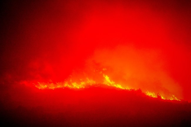 Φωτιά στο Ξυλόκαστρο: Υποπτος για εμπρησμό ο αντιδήμαρχος... Πολιτικής Προστασίας που κάπνιζε τα μελίσσια του