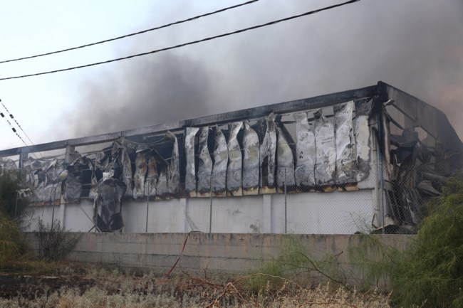 Σοβαρές καταγγελίες για την φωτιά στον Ασπρόπυργο: "Ξέφραγο αμπέλι, θα θρηνήσουμε θύματα - Να πάρουν ευθύνη τώρα"