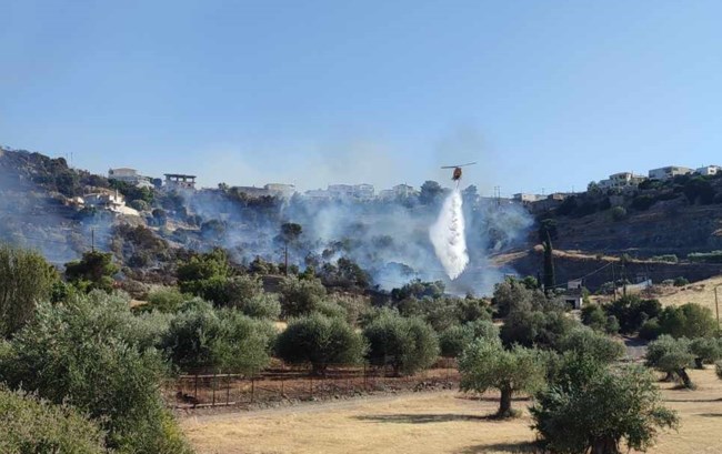 Φωτιά Κρανίδι