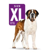 ROYAL CANIN
