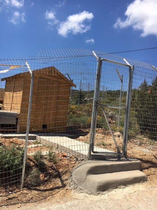 kennels