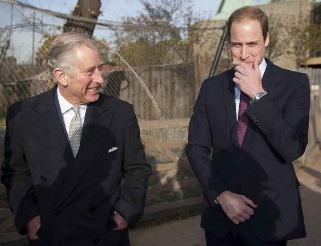 prince william prince charles
