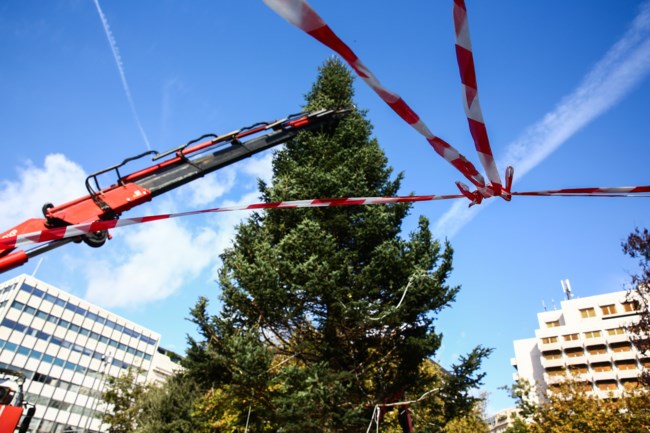 Σε χριστουγεννιάτικο ρυθμό η Αθήνα: Τοποθετήθηκε το τεράστιο δέντρο από τη Βυτίνα στην πλατεία Συντάγματος