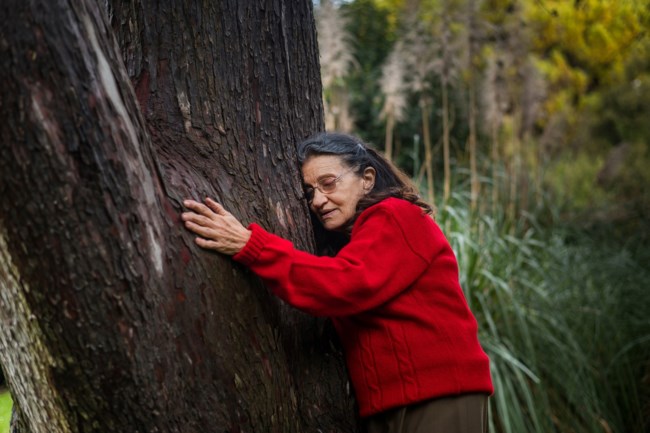 Ο "Βυσσινόκηπος" ανεβαίνει στην Κεντρική Σκηνή του Εθνικού Θεάτρου