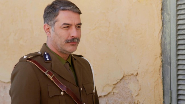 Άγριες Μέλισσες