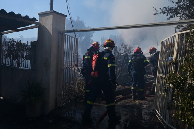 ΦΩΤΙΑ ΡΑΦΗΝΑ