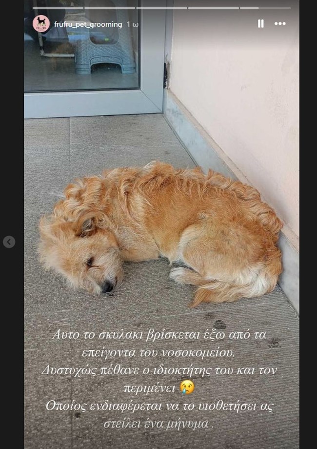 τρικαλα