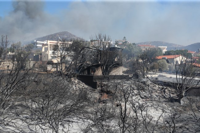παλαια φωκαια φωτια.
