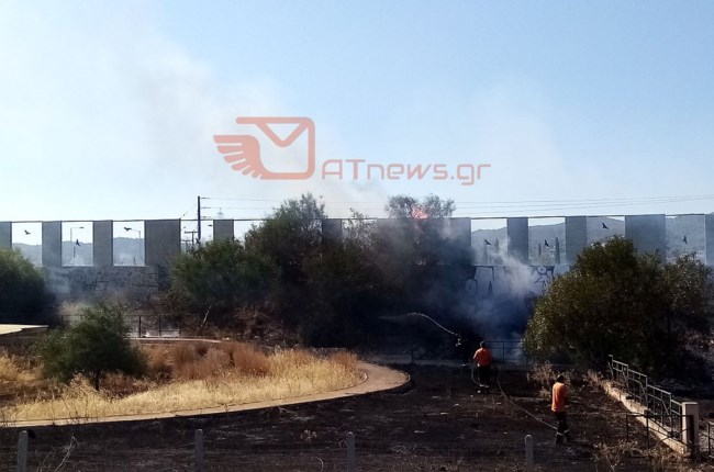 Μπαράζ πυρκαγιών στους Αγίους Θεοδώρους - Αποκαθίστανται τα δρομολόγια του προαστιακού [Εικόνες-βίντεο]