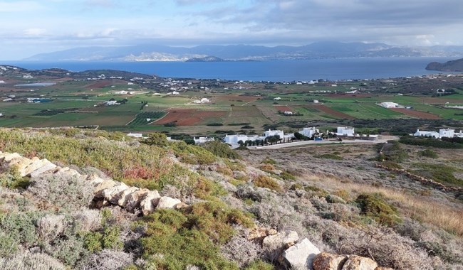 παρος καιλη