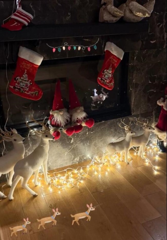 Kωνσταντίνα Σπυροπούλου σε εορταστικό κλίμα: Στόλισε το σπίτι της για τα Χριστούγεννα