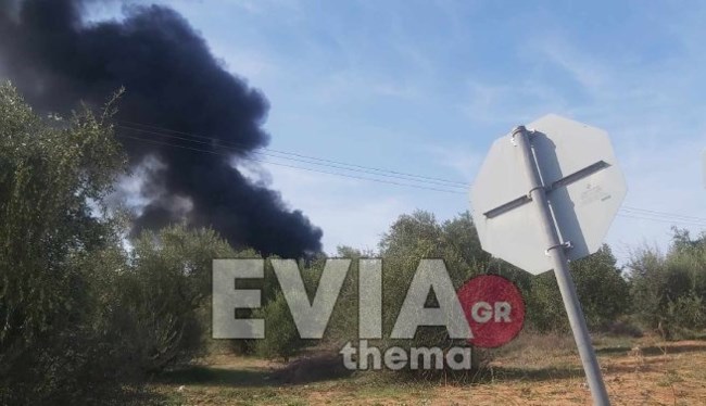 φωτιά - Ριτσώνα