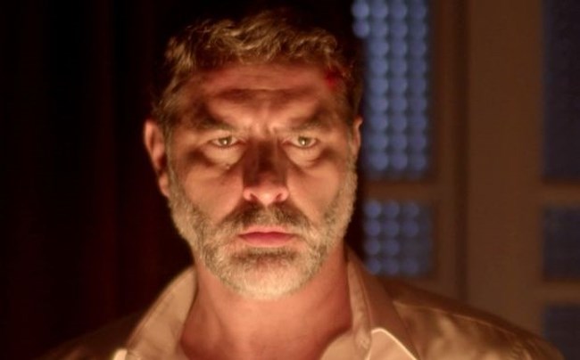 βοσκαρης αγριες μελισσες