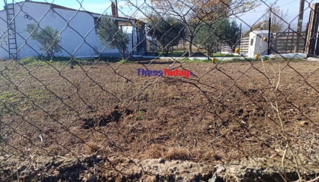 Δίωξη για ανθρωποκτονία στον 37χρονο ιδιοκτήτη των σκύλων που κατασπάραξαν την 50χρονη - Βγήκαν από τρύπα στο φράχτη