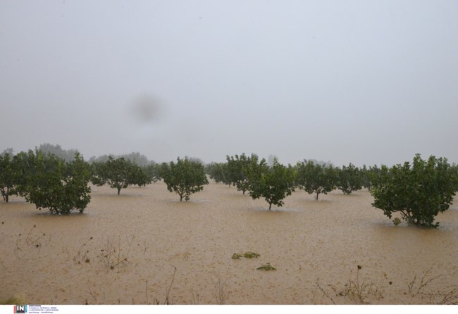 Κακοκαιρία - Σοφιάδα