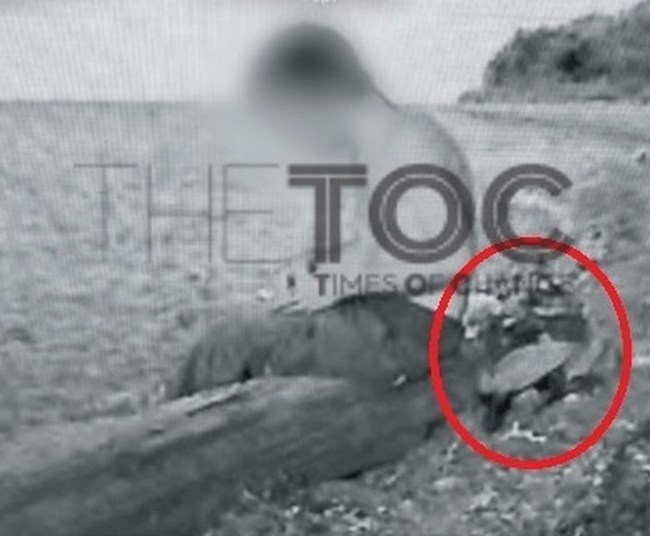 ΜΑΡΦΙΝ ΨΗΛΟΣ
