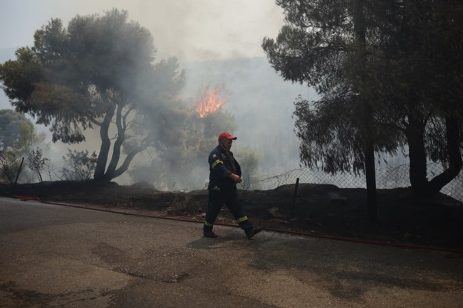 Φωτιά στα Μέγαρα: Ελπίδες από την αντιστροφή του ανέμου, "κατευθύνεται προς τα καμένα" λέει ο ο δήμαρχος Μεγαρέων