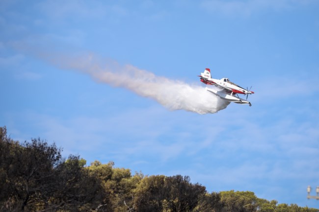 Χωρίς ενεργό μέτωπο η πυρκαγιά στη Νέα Μάκρη - Σε εξέλιξη οι έρευνες για εμπρησμό