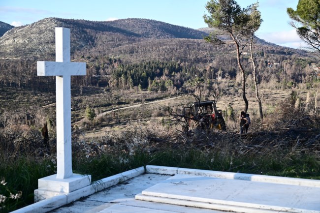 Τατόι