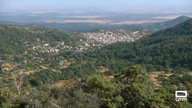 Μαρτυρία για λιοντάρι στο Τολέδο προκάλεσε διήμερη αναστάτωση με ελικόπτερα και drones - Μπορεί να ήταν... σκύλος