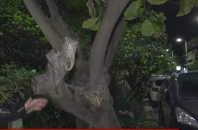 Ελευσίνα: Πάτησε κατά λάθος γκάζι και σκότωσε τη μητέρα της - "Εκλαιγαν και προσπαθούσαν να βοηθήσουν τη γιαγιά"