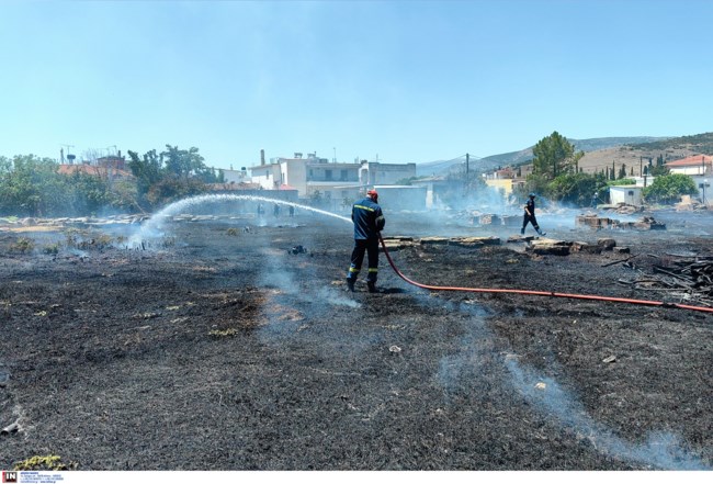 Φωτιά στο Άργος: Πυρκαγιά σε οικόπεδο δίπλα στον αρχαιολογικό χώρο της Αρχαίας Αγοράς [εικόνες]