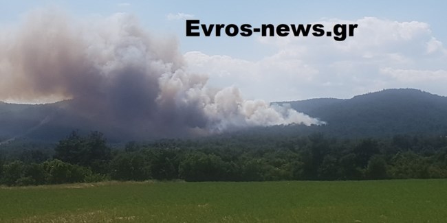Φωτιά Έβρος