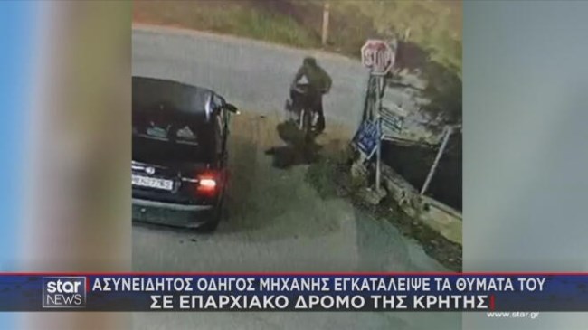 Η Λάιλα έγινε "ασπίδα" για να σώσει το αφεντικό της από τροχαίο - "Αν δεν έμπαινε στη μέση δεν θα ζούσα..."