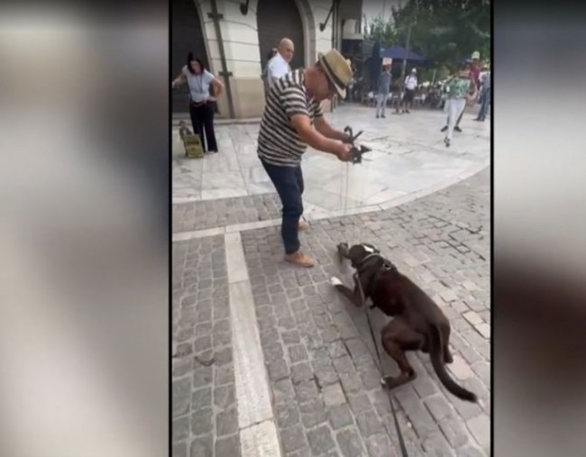 σια κοσιωνη