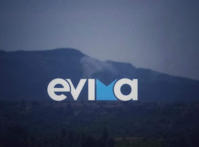 Νέα φωτιά στην Εύβοια: Καίγεται δάσος στον Μίστρο - Συναγερμός στην Πυροσβεστική