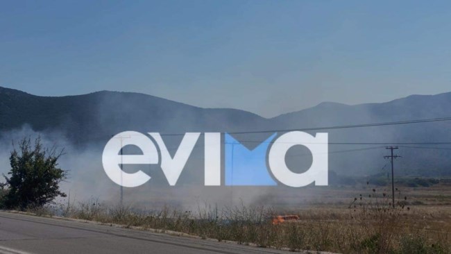 Ξέσπασε φωτιά στη Νότια Εύβοια - Στον κάμπο του Δύστου