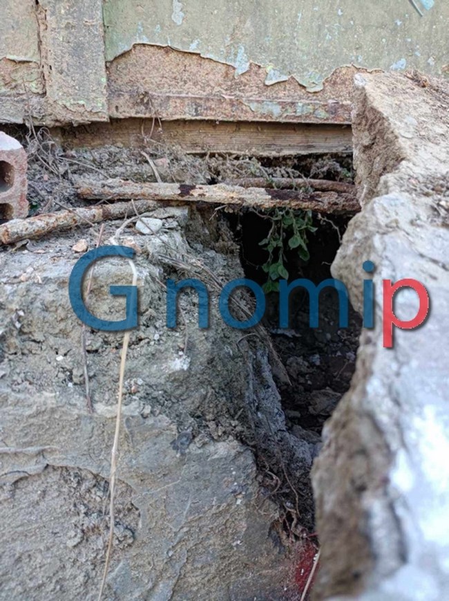 "Τσιμέντωσαν" γατάκι στην Πάτρα: Σώθηκε από κατοίκους και την επέμβαση της Πυροσβεστικής