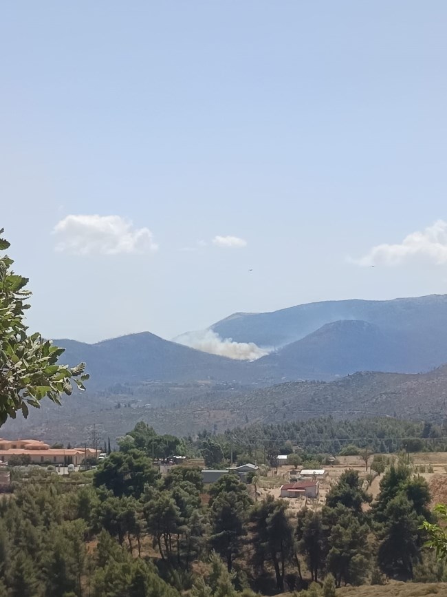 Φωτιά Πάρνηθα