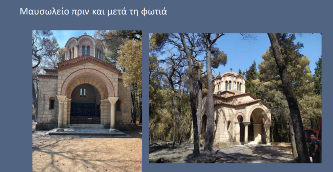 nmaysvleio