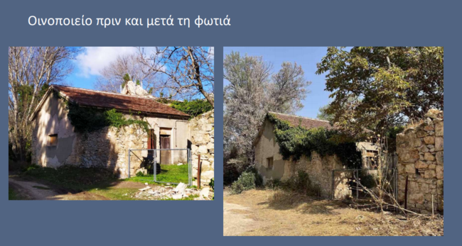 tatoi