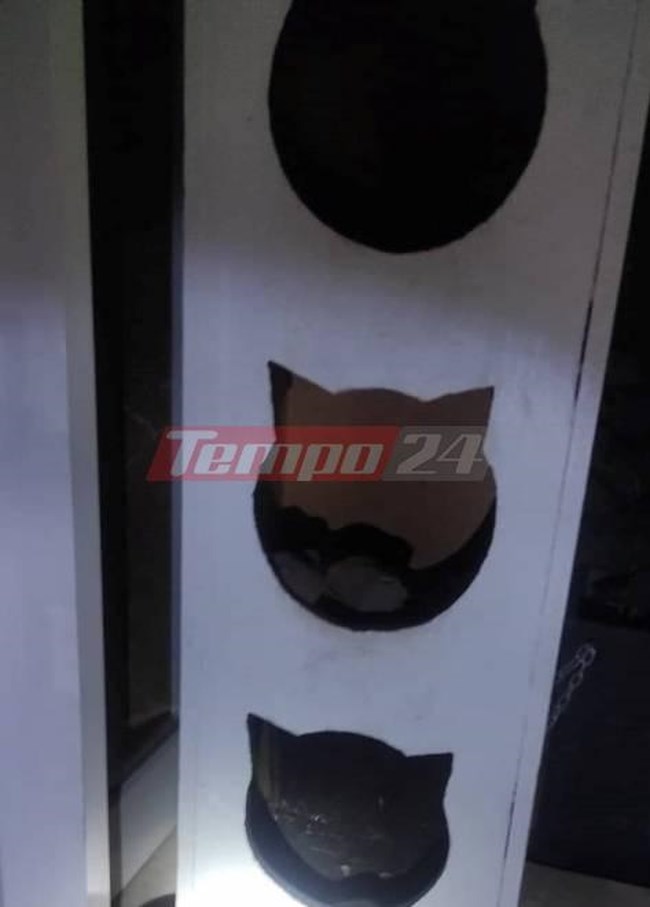 ναρκωτικα