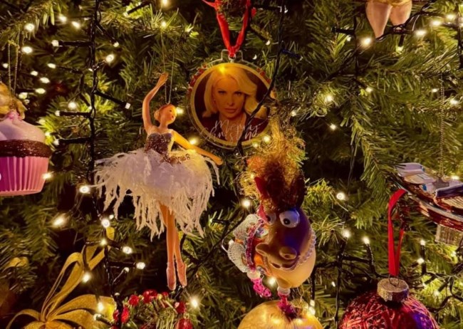 Ελένη Μενεγάκη: Δείχνει το χριστουγεννιάτικο δέντρο της έπαυλής της - Το στολίδι που φτιάχτηκε ειδικά για εκείνη