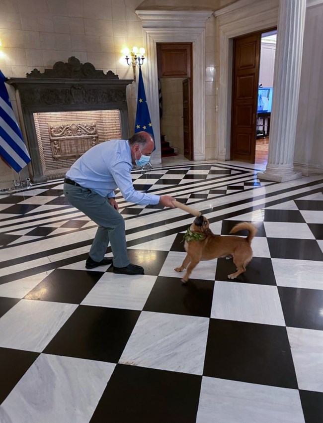Δημήτρης Τσιόδρας