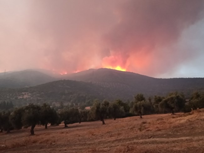 ΦΩΤΙΑ ΕΥΒΟΙΑ