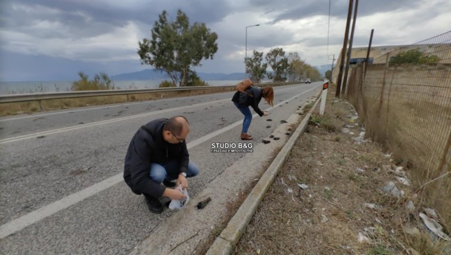 Μυστήριο στην Αργολίδα: Εκατοντάδες νεκρά πουλιά στην παραλιακή Ναυπλίου - Νέας Κίου (βίντεο)
