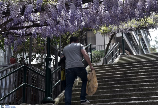 άδεια αθήνα intime