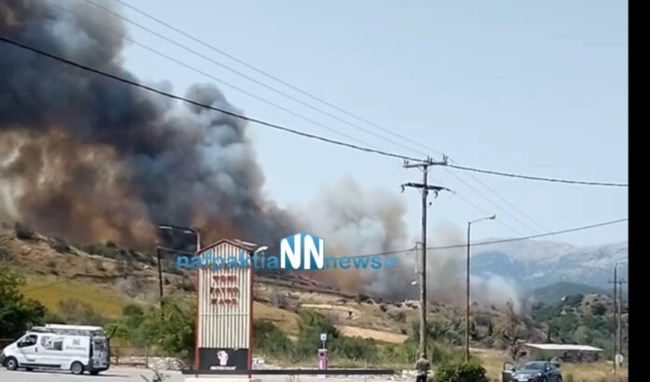 Φωτιά στη Ναύπακτο: Παρ' ολίγον τραγωδία με Canadair - Χτύπησε σε πεύκο κατά την κατάσβεση [Βίντεο]