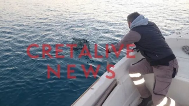 Ηράκλειο: Γέμισε νεκρά ποντίκια το ενετικό λιμάνι - Τι συνέβη [εικόνες]