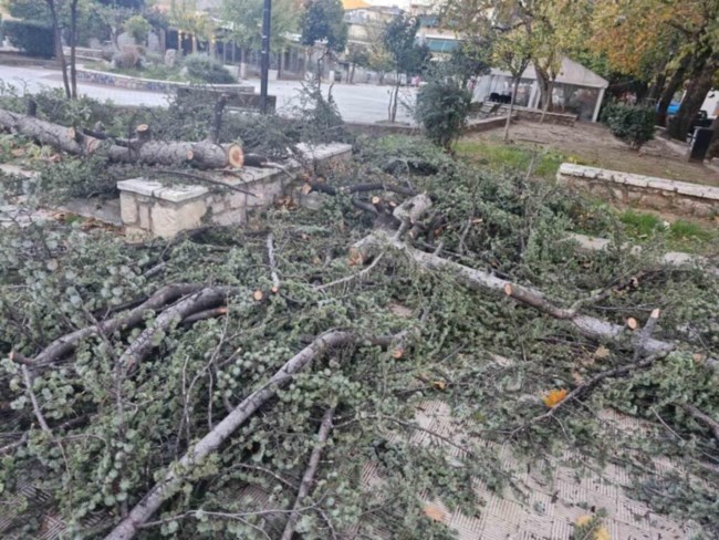 Κακοκαιρία: Προβλήματα από τους ισχυρούς ανέμους σε πολλές περιοχές: Σπασμένα δένδρα, ζημιές σε σκάφη, διακοπές ρεύματος