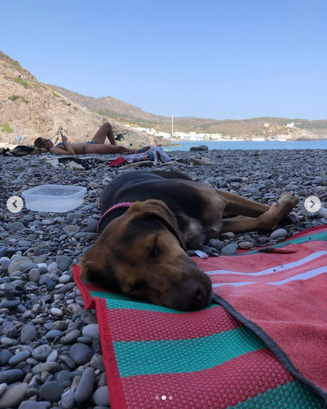 Παυλίνα Βουλγαράκη