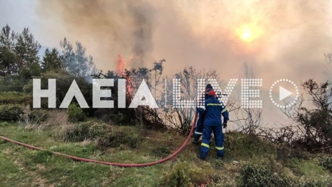 Ηλεία: Ανεξέλεγκτη η φωτιά στο Λιβαδάκι - Εντολή εκκένωσης του οικισμού - Ενισχύθηκαν οι δυνάμεις
