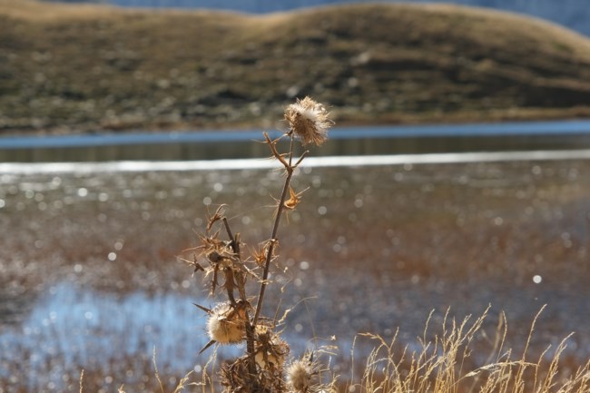 ΔΡΑΚΟΛΙΜΝΗ ΤΥΜΦΗΣ